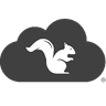 Squirrels company