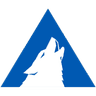 Arctic Wolf Networks company
