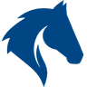 Auriga, Inc. company