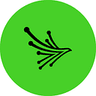 Black Kite company