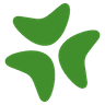 Bloomerang company