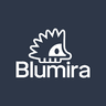 Blumira company