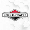 Briggs & Stratton company
