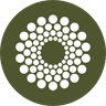 Cocoon company