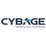 Cybage company