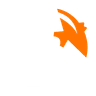 Discus IT Pvt company