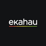 Ekahau company
