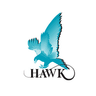 Hawk Measurement Systems company