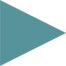 Intellectus Statistics company