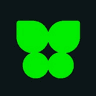 Kocho company