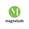 Magnetude Consulting company