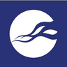NCC Group company
