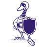 Open Source Security Foundation company