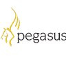 Pegasus Software company