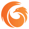 PhoenixTeam company
