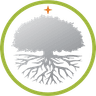 Silver Tree Services company