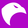 Skyhawk Security company