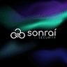 Sonrai Security company