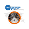 Tejas Software company