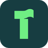 Turtl company