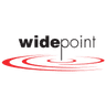 Widepoint company