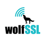 wolfSSL company