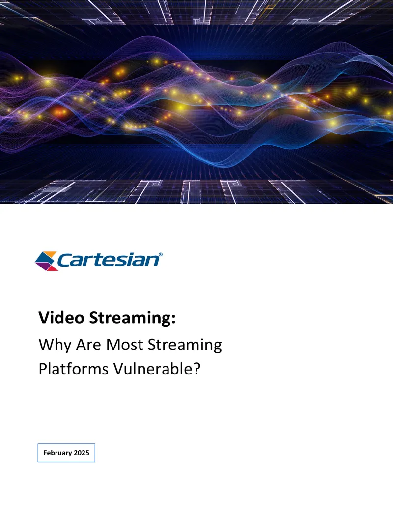 Video Streaming Platform Vulnerabilities Analysis