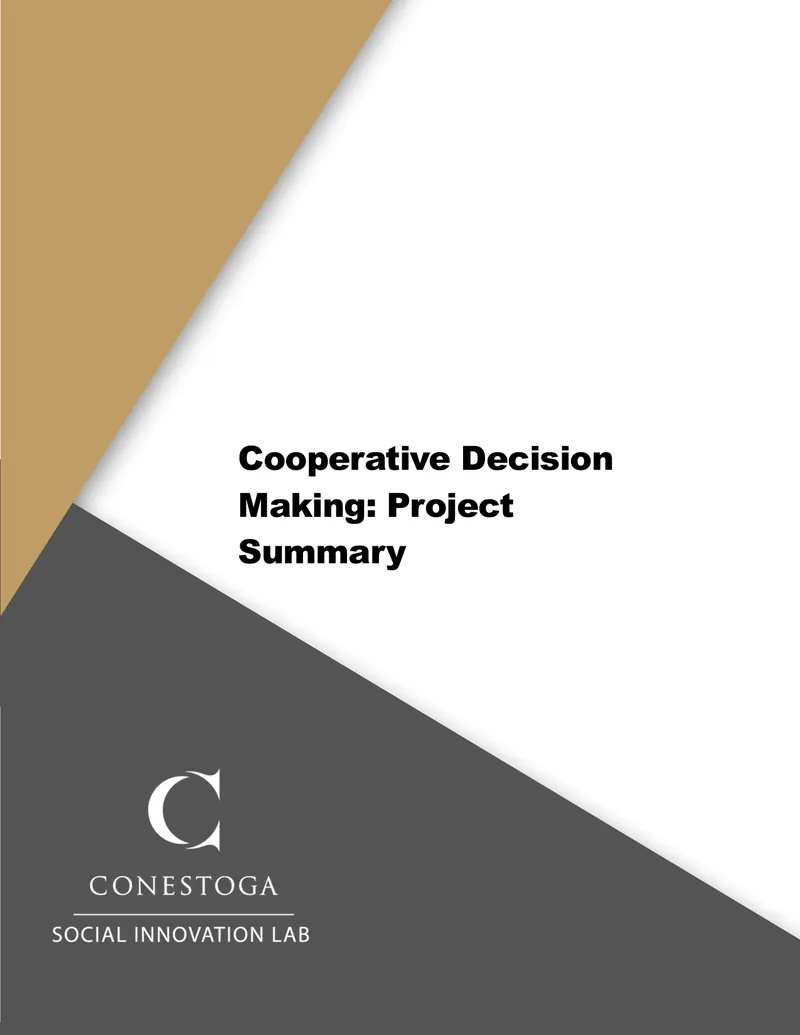 Cooperative Decision Making Project Summary