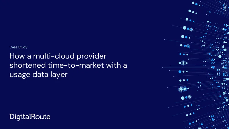 Multi-Cloud Provider Usage Data Layer Case Study