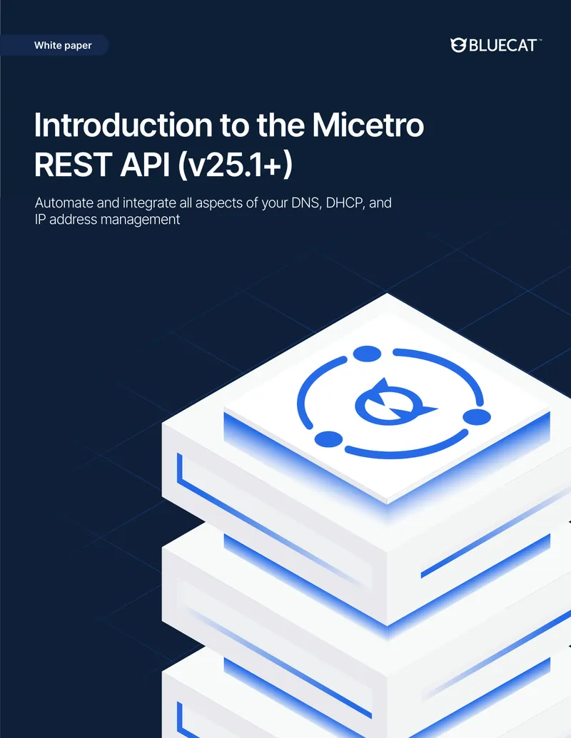 Introduction to the Micetro REST API for DDI Management