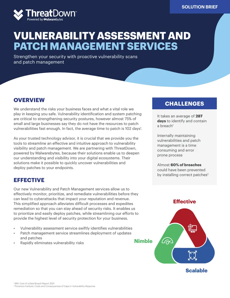 Vulnerability Assessment and Patch Management Services