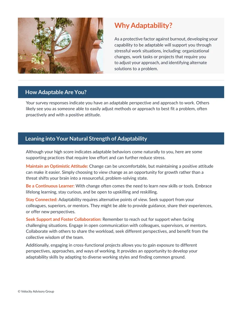Strategies for Enhancing Adaptability in the Workplace