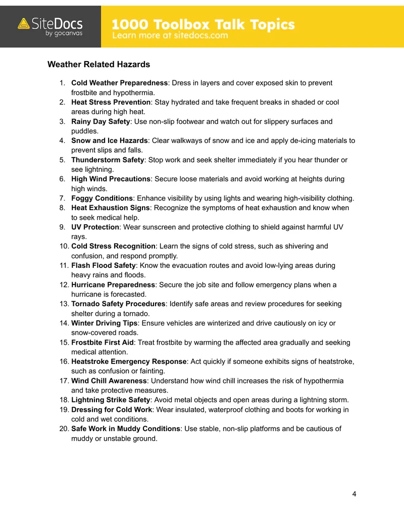Page 4