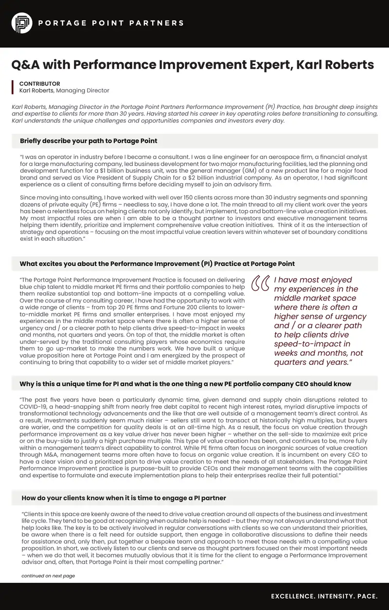 Performance Improvement Strategies for CEOs in Private Equity