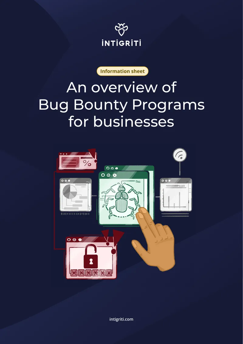 Overview of Bug Bounty Programs for Businesses