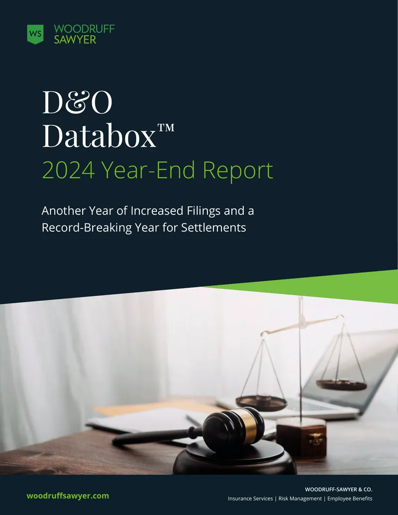 2024 Year-End D&O Databox Report