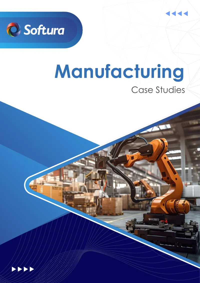 Case Studies on Automotive Software Solutions