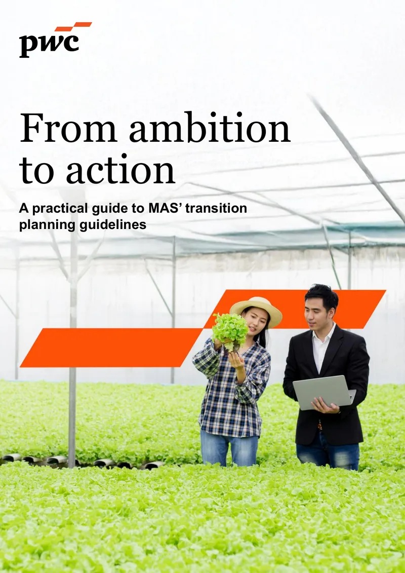 Transition Planning Guidelines for Financial Institutions