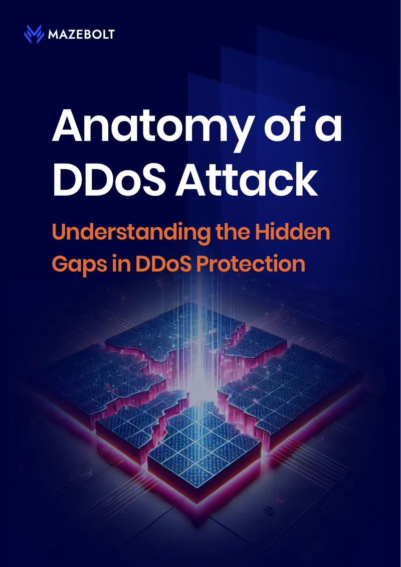 Anatomy of a DDoS Attack