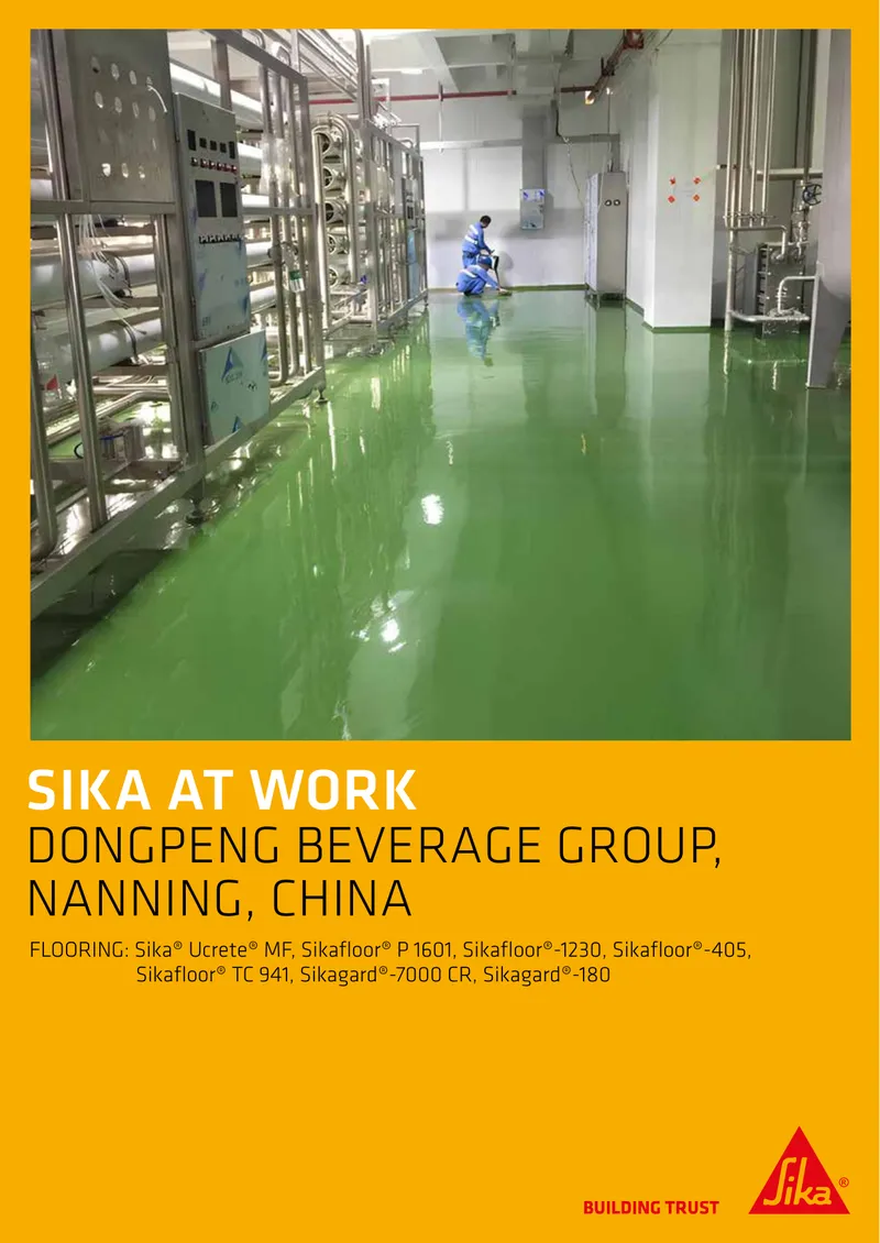 Building Solutions for Dongpeng Beverage Group