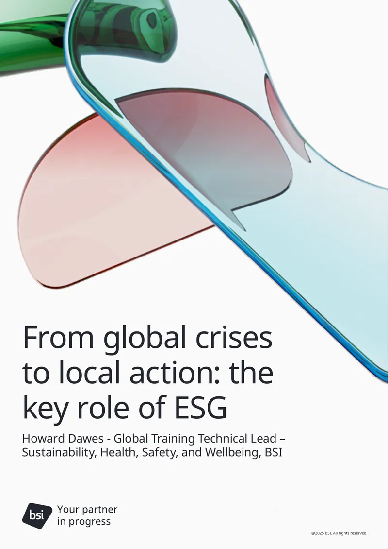 The Role of ESG Standards in Business Sustainability