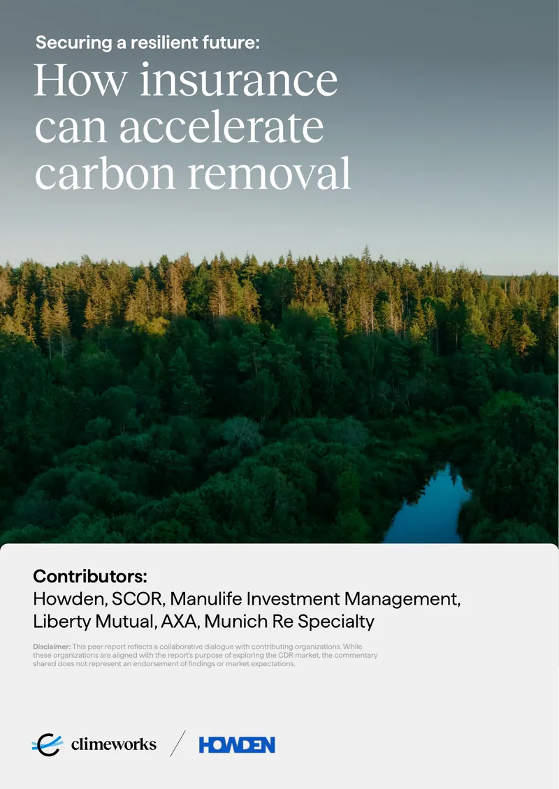 Insurance Industry's Role in Carbon Dioxide Removal