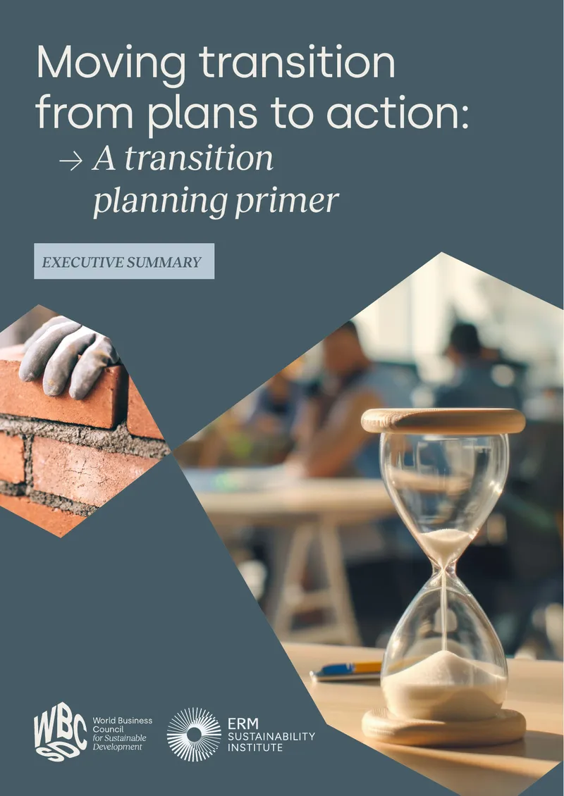 Transition Planning Primer for Net Zero Commitments