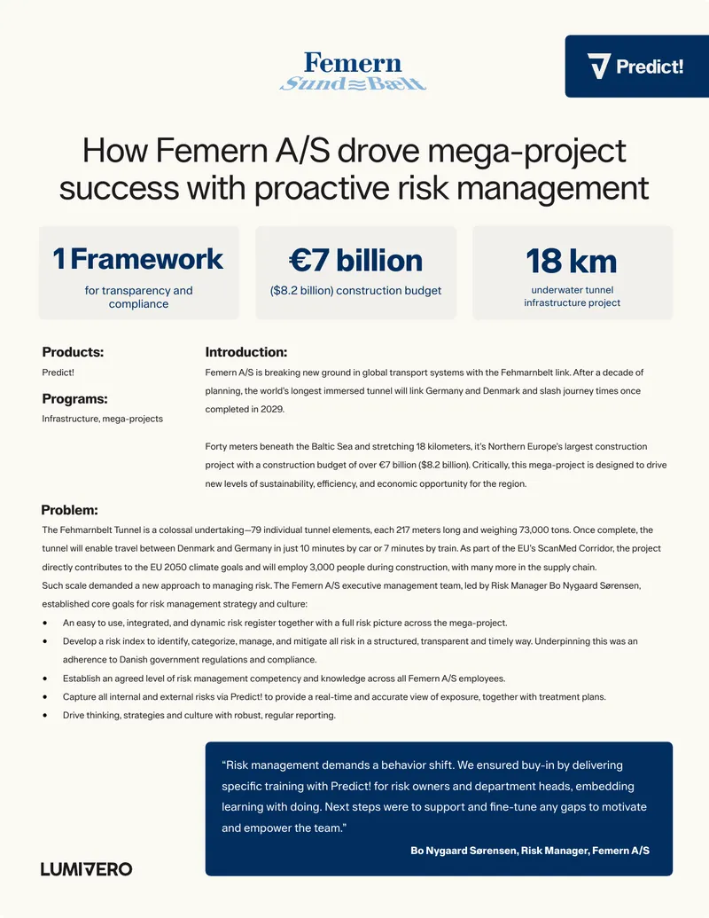 Proactive Risk Management in Mega-Projects