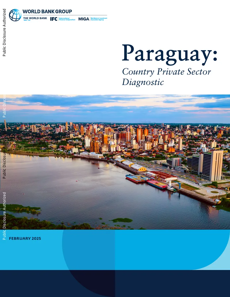 Paraguay Country Private Sector Diagnostic Report