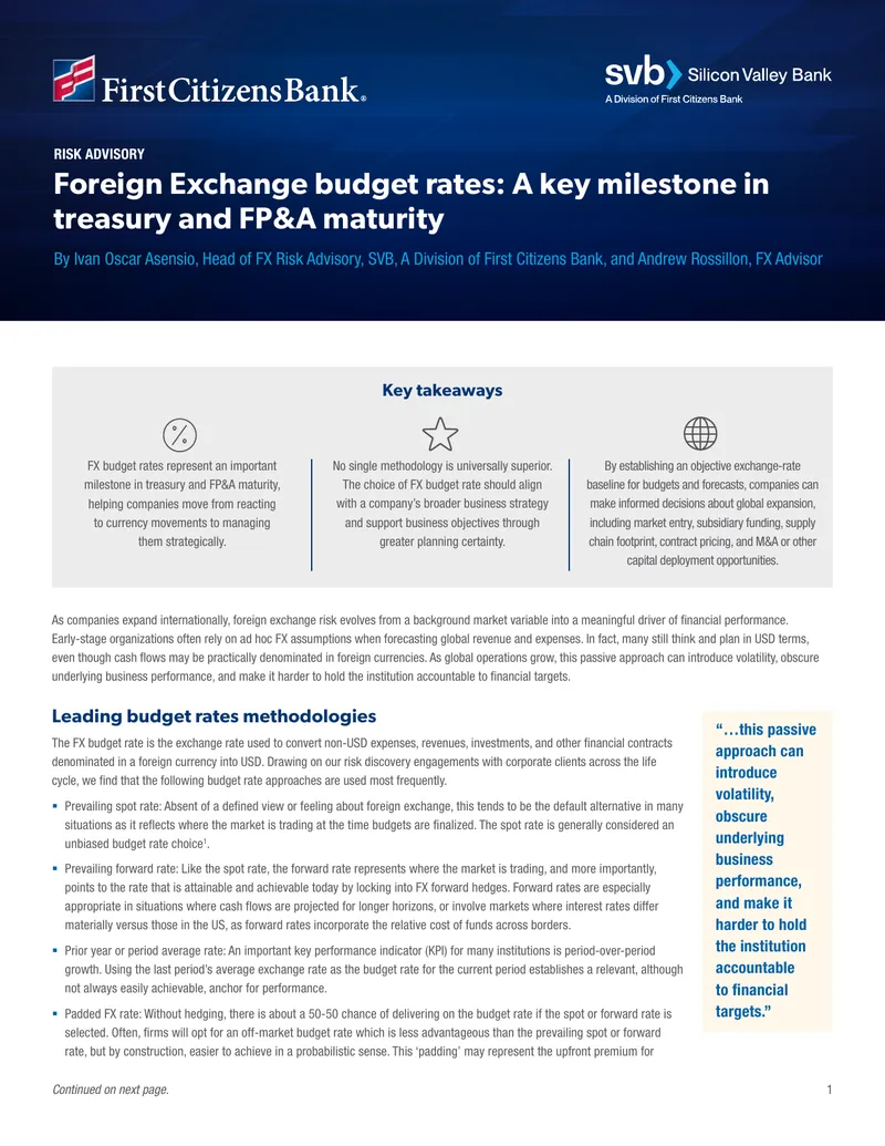 Foreign Exchange Budget Rates in Treasury Management