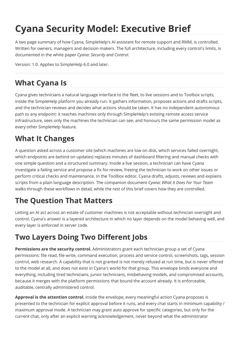 Cyana Security Model Executive Brief