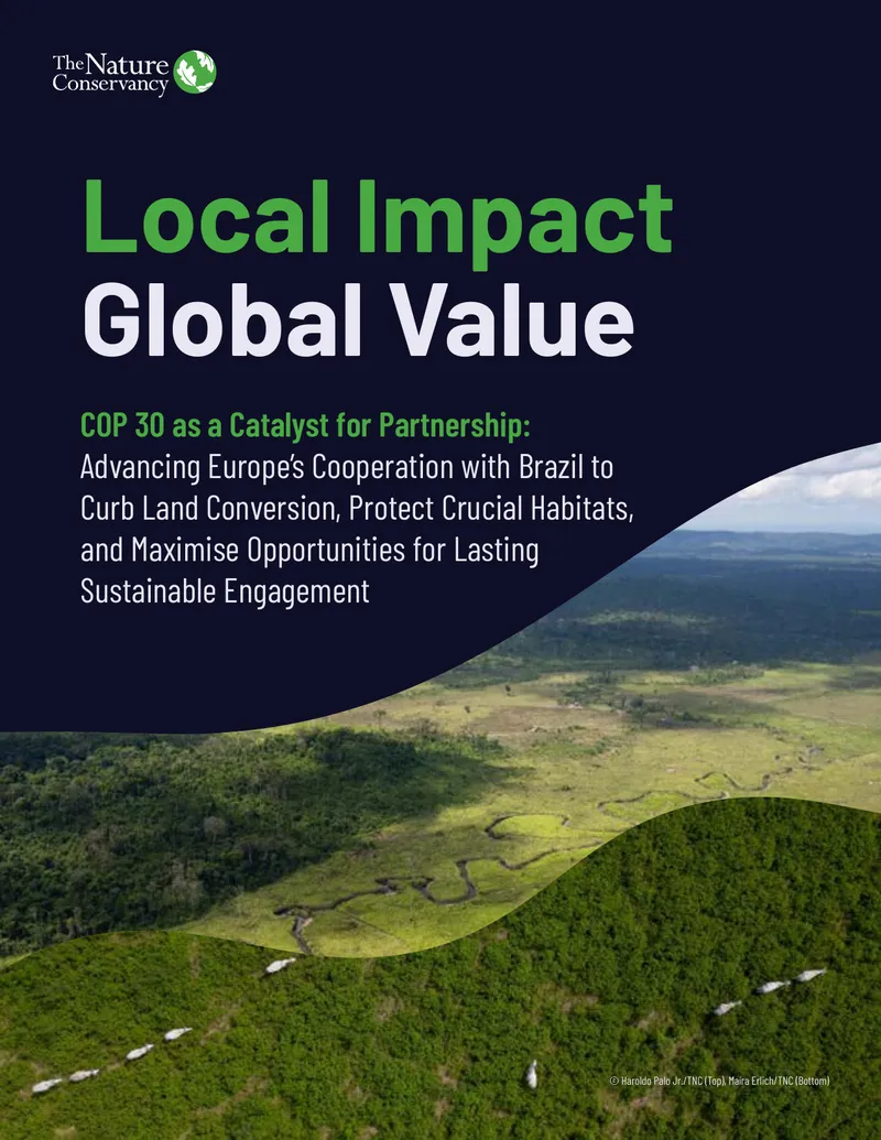 COP 30 and European Cooperation with Brazil