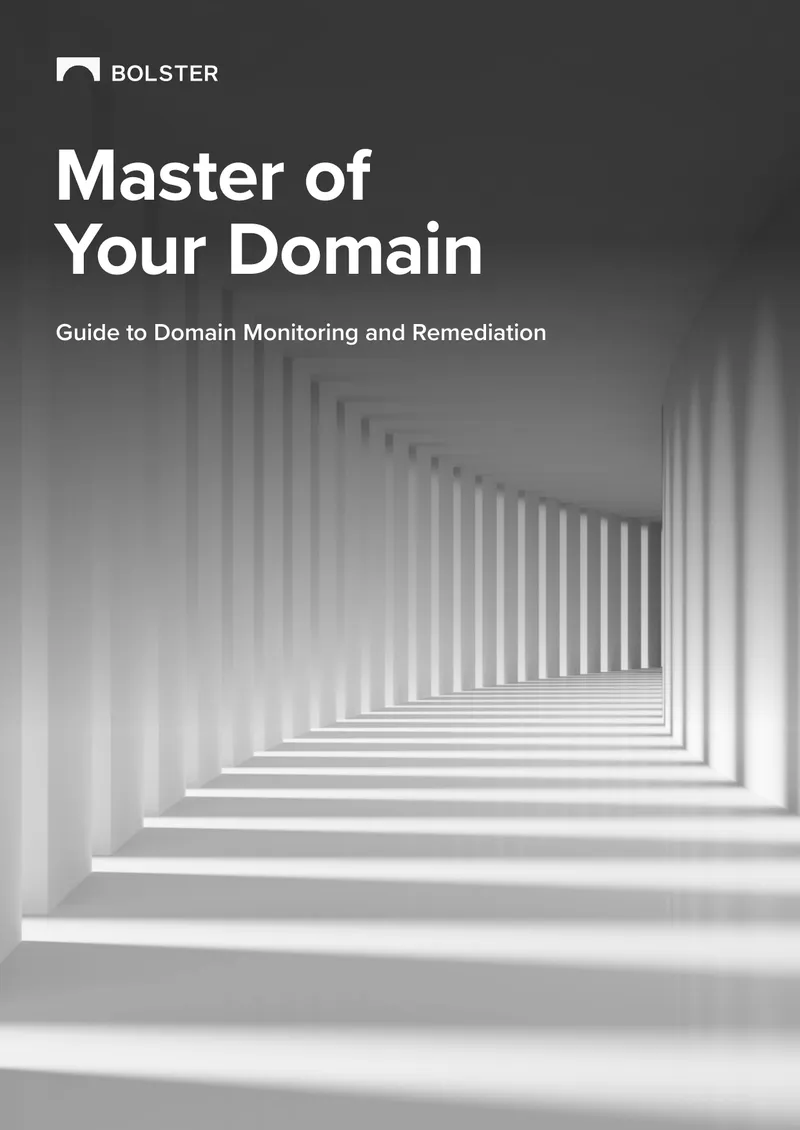Guide to Domain Monitoring and Remediation
