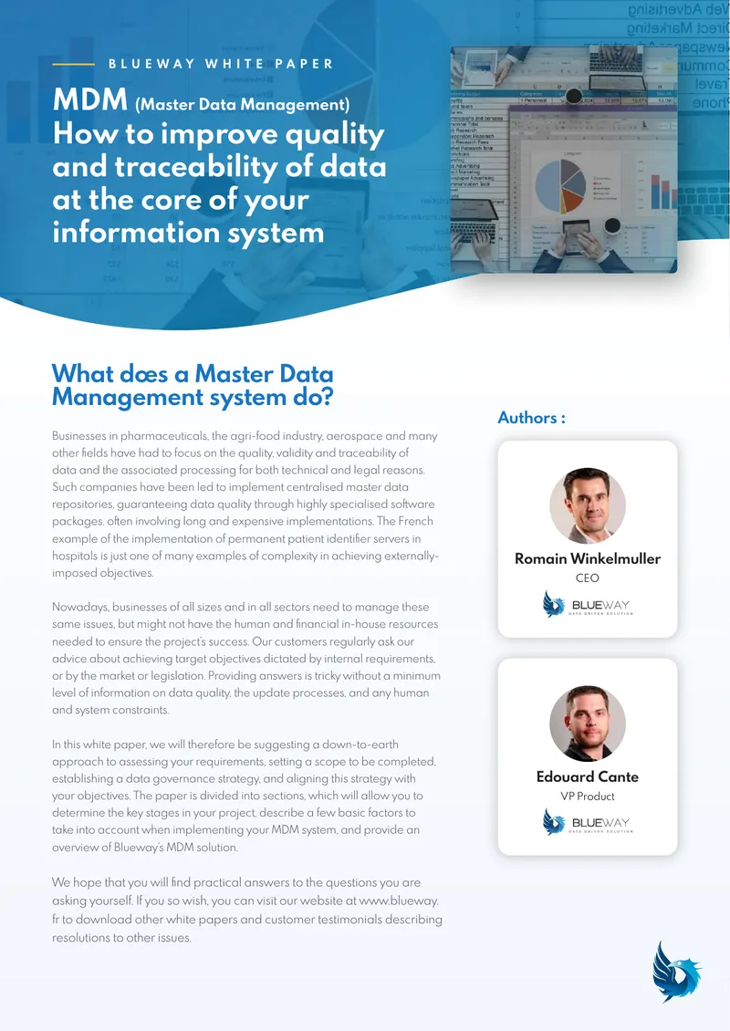 Master Data Management Implementation Guide